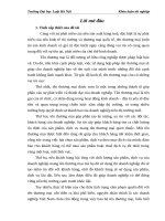 Điều kiện bảo hộ tên thương mại theo pháp luật việt nam – một số vấn đề lý luận và thực tiễn 