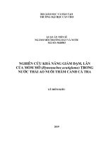 Nghiên cứu khả năng giảm đạm, lân của mồm mỡ (hymenachne acutigluma) trong nước thải ao nuôi thâm canh cá tra