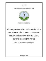 Xây dựng phương pháp phân tích imipenem và cilastatin trong thuốc tiêm bằng sắc kí lỏng tương tác thân nước 