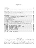 Phân tích các vấn đề pháp lý và thực tiễn xét xử các cá nhân bị coi là tội phạm quốc tế tại một thiết chế tài phán quốc tế cụ thể trong phạm vi bài ti 