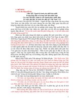 Một vài kinh nghiệm trong việc tổ chức hoạt động đội ở trường THCS  