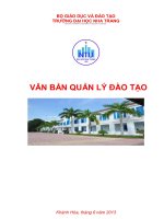 TIỂU LUẬN HỌC PHẦN: NHỮNG BÀI HỌC CHỦ YẾU VỀ SỰ LÃNH ĐẠO CỦA ĐẢNG CỘNG SẢN VIỆT NAM