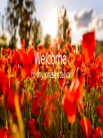 mẫu slide đẹp cho thuyết trình