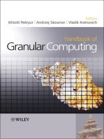 Wiley handbook of granular computing sep 2008 ISBN 0470035544 pdf 