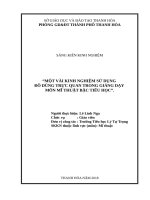 Một vài kinh nghiệm sử dụng đồ dùng trực quan trong giảng dạy môn mĩ thuật bậc tiểu học 