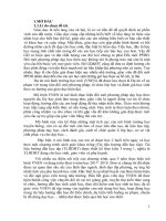 Một số biện pháp chỉ đạo dạy học theo mô hình trường học mới việt nam VNEN nhằm nâng cao chất lượng giáo dục toàn diện ở trường TH đông cương TPTH 