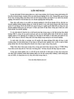 ke-toan-von-bang-tien-tai-cong-ty-tnhh-dong-nam-hai