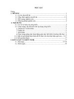 Một số biện pháp tạo hứng thú, nâng cao hoạt động giáo dục thể chất thông qua trò chơi vận động 