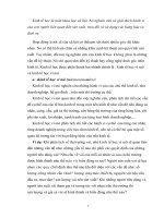 Bài tập cá nhân kinh tế học đại cương 9 điểm   phân biệt kinh tế vĩ mô và kinh tế vi mô 