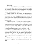 Cơ quan tiến hành tố tụng cạnh tranh theo luật cạnh tranh 2004  