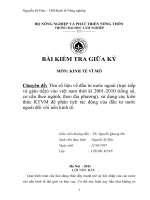 Tiểu luận thực trạng đầu tư nước ngoài vào Việt Nam