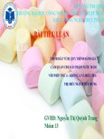 TRÌNH BÀY VÍ DỤ QUY TRÌNH ĐÁNH GIÁ CẢM QUAN CHO SẢN PHẨM NƯỚC MẮM  VỚI PHÉP THỬ A  KHÔNG A VÀ ĐIỀU TRA THỊ HIẾU NGƯỜI TIÊU DÙNG