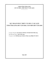QUY HOẠCH PHÁT TRIỂN VĂN HÓA VÀ DU LỊCH TỈNH VĨNH LONG ĐẾN NĂM 2020, TẦM NHÌN ĐẾN NĂM 2030