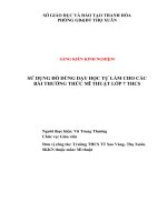 Sử dụng đồ dùng dạy học tự làm cho các bài thường thức mĩ thuật lớp 7 THCS 