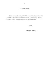 (Luận án tiến sĩ) Nghiên cứu biến tính graphen oxit dạng khử bằng sắt oxit và ứng dụng