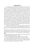 Bài tập lớn học kỳ môn luật hình sự việt nam 2 (8 điểm) 