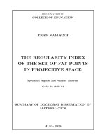 Chỉ số chính quy của tập điểm béo trong không gian xạ ảnh tt tiếng anh 