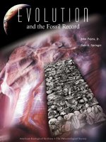 John pojeta and dale springer evolution and the fossil record 