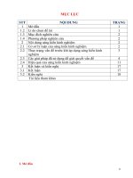 Xây dựng các mối quan hệ giữa tổng phụ trách đội với các lực lượng giáo dục trong và ngoài nhà trường 