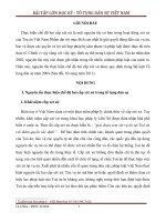BÀI lớn học kỳ tố TỤNG dân sự  đề 1  nguyên tắc thực hiện chế độ hai cấp xét xử trong tố tụng dân sự và thực tiễn thực hiện  