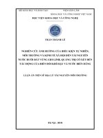 (Luận án tiến sĩ) Nghiên cứu ảnh hưởng của điều kiện tự nhiên, môi trường và kinh tế xã hội đến tài nguyên nước dưới nước vùng Gio Linh, Quảng Trị có xét đến tác động của biến đổi khí hậu và nước biển dâng