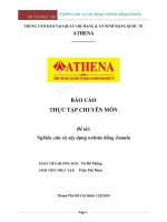 BÁO CÁO THỰC TẬP CHUYÊN MÔN Đề tài: Nghiên cứu và xây dựng website bằng Joomla