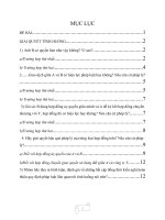 bài tập nhóm môn luật dân sự việt nam 1 