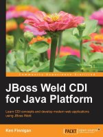 Jboss weld cdi java platform 1413 pdf 