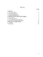 Một số biện pháp nâng cao chất lượng hoạt động tạo hình(thể loại vẽ) cho trẻ 5 6 tuổi 