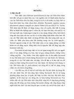 Nghiên cứu biểu hiện gen GmCHI liên quan đến tổng hợp flavonoid và cảm ứng tạo rễ tơ ở cây thổ nhân sâm (talinum paniculatum) tt 