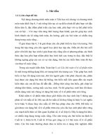 Hướng dẫn học sinh lớp 5 giải một số bài toàn về tỉ số phần trăm 