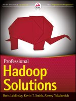 Professional hadoop solutions boris lublinsky 3664 pdf 