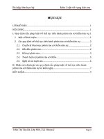 Nhận xét, đánh giá các quy định của pháp luật tố tụng dân sự hiện hành về thủ tục tiến hành phiên tòa sơ thẩm dân sự và kiến nghị 