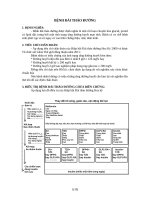 Phác đồ điều trị các bệnh nội tiết thường gặp