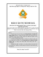 BÁO CÁO TỰ ĐÁNH GIÁ TRƯỜNG ĐẠI HỌC SƯ PHẠM KỸ THUẬT HƯNG YÊN