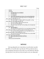 bt lớn hôn nhân căn cứ, hậu quả pháp lý của việc hạn chế quyền của cha mẹ đối với con chưa thành niên và một số giải pháp hoàn thiện vấn đề này 