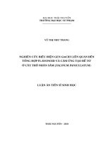 Nghiên cứu biểu hiện gen GmCHI liên quan đến tổng hợp flavonoid và cảm ứng tạo rễ tơ ở cây Thổ nhân sâm (Talinum paniculatum)