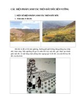 MỘT số BIỆN PHÁP CANH tác TRÊN đất dốc