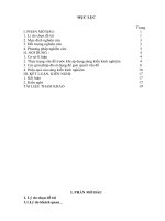 Sử dụng sơ đồ tư duy để dạy học có hiệu quả các tiết ôn tập, tổng kết trong chương trình ngữ văn 9 