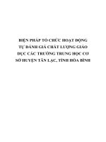 BIỆN PHÁP tổ CHỨC HOẠT ĐỘNG tự ĐÁNH GIÁ CHẤT LƯỢNG GIÁO dục các TRƯỜNG TRUNG học cơ sở HUYỆN tân lạc, TỈNH hòa BÌNH 