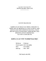 Nghiên cứu kỹ thuật trồng, chăm sóc, phòng trừ sâu bệnh hại các loài lan rừng ngọc điểm đai châu (rhynchostylis gigantea), thạch hộc hoa trắng (flickingeria albopurpurea), hạc đính rừng (phaius mishmensis) 