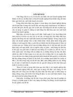 Chuyen de tot nghiep (1)