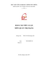 BÁO CÁO TIỂU LUẬN MÔN QUẢN TRỊ MẠNG CAO HỌC PTIT