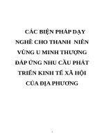 CÁC BIỆN PHÁP dạy NGHỀ CHO THANH  NIÊN VÙNG u MINH THƯỢNG đáp ỨNG NHU cầu PHÁT TRIỂN KINH tế xã hội của địa PHƯƠNG 