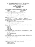 Đề thi tốt nghiệp THPT 2019 (2) 