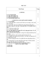 Một số biện pháp rèn kĩ năng giải Toán về tỉ số phần trăm cho học sinh lớp 5. Trường TH