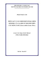 phân lập và xác định một số đặc điểm sinh học của xạ khuẩn nội sinh trên cây màng tang (litsea cubeba (lour ) pers )