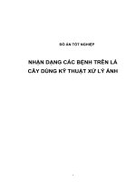NHẬN DẠNG CÁC BỆNH TRÊN LÁ cây DÙNG kỹ THUẬT xử LÝ ẢNH (có code) 
