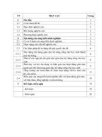 Biện pháp giáo dục kỹ năng sống cho học sinh lớp 5 thông qua hoạt động giáo dục NGLL ở trường tiểu học 