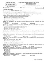 Đề thi tốt nghiệp THPT 2019 (20) 